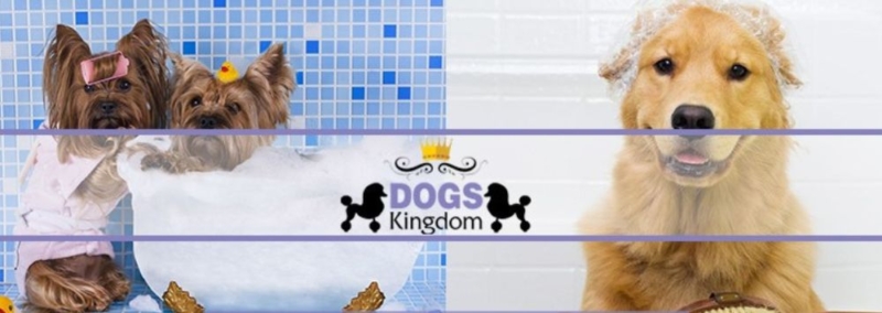 DOGS KINGDOM
