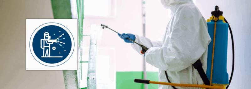 PEST EXPERT PEST EXPERT