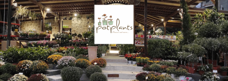 POT PLANTS