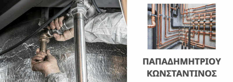 ΠΑΠΑΔΗΜΗΤΡΙΟΥ ΚΩΝΣΤΑΝΤΙΝΟΣ