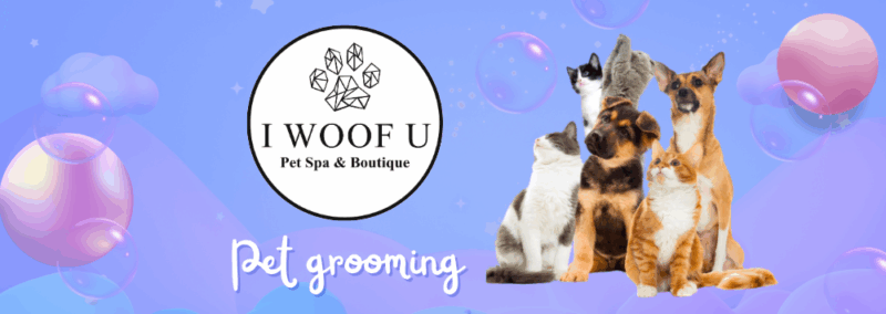 IWOOFU – Pet grooming