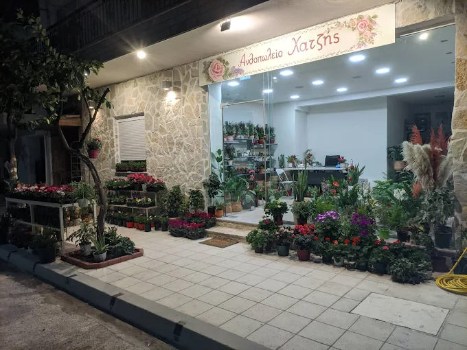 ΧΑΤΖΗΣ ΠΑΝΤΕΛΗΣ