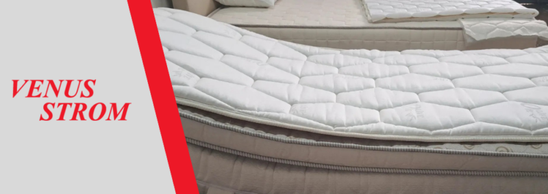VENUS STROM