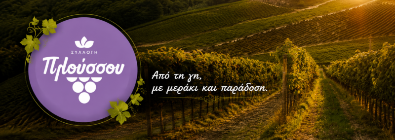 ΣΥΛΛΟΓΗ ΠΛΟΥΣΣΟΥ